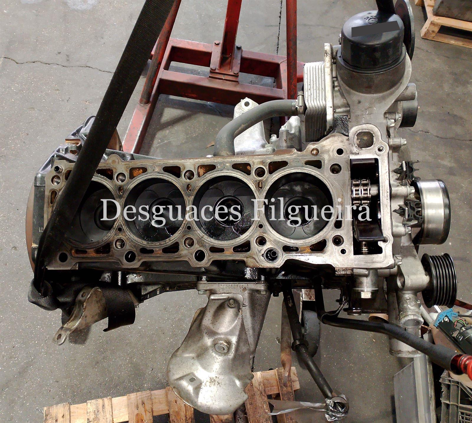 Bloque motor Mercedes E 220 CDI W210 611961 - Imagen 1