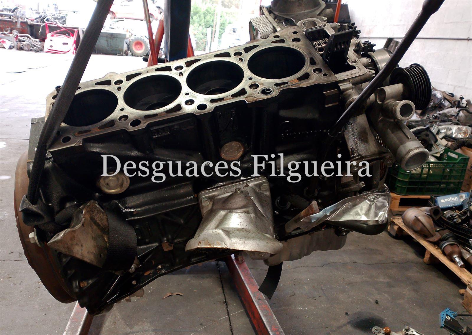 Bloque motor Mercedes E 220 CDI W210 611961 - Imagen 2