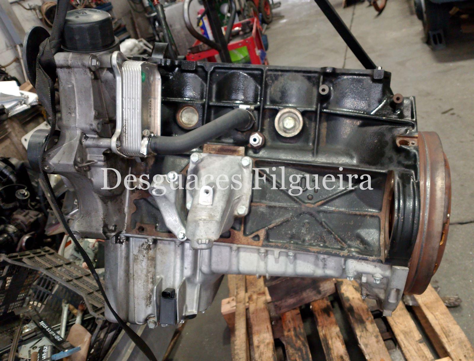 Bloque motor Mercedes E 220 CDI W210 611961 - Imagen 3