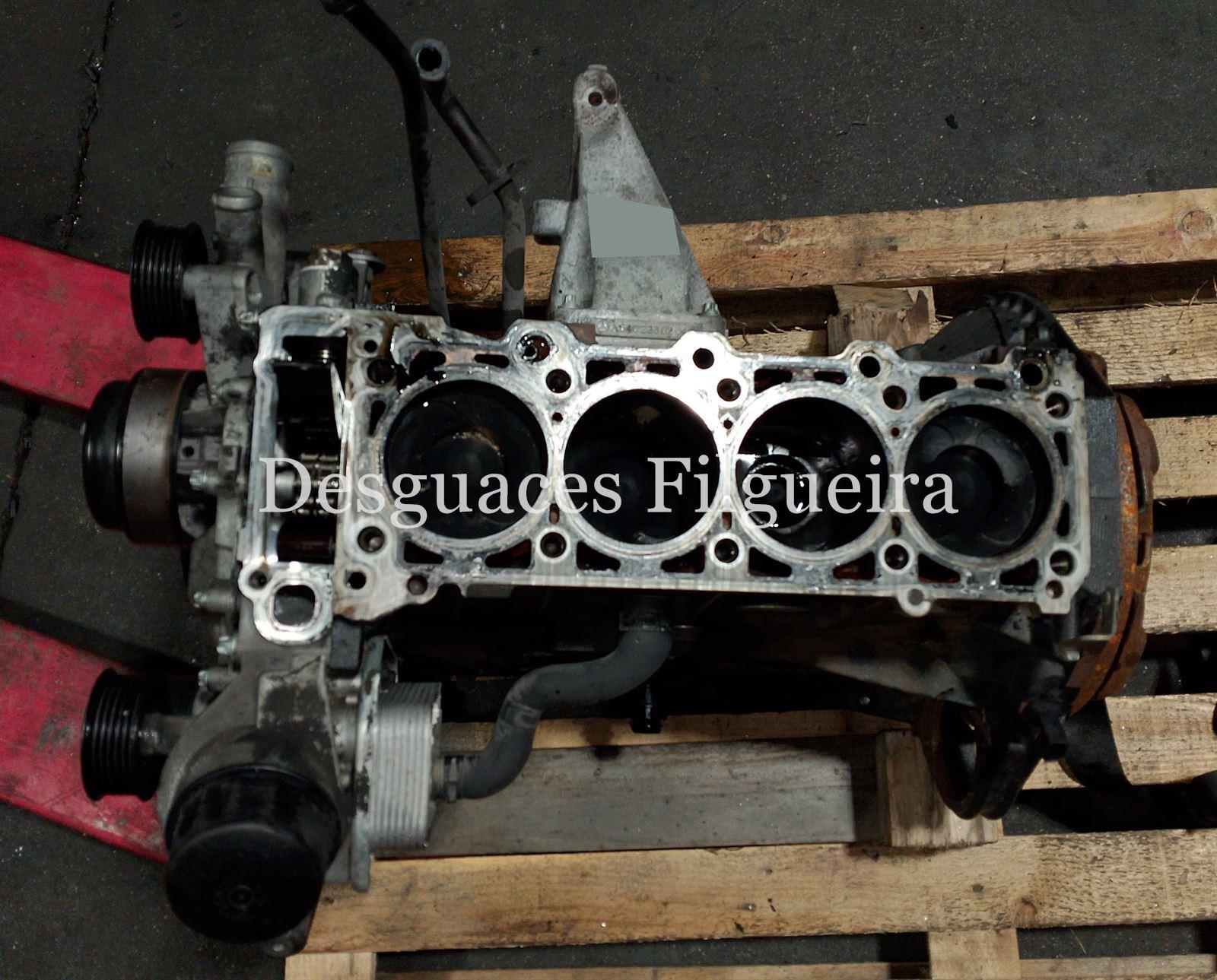 Bloque motor Mercedes Vito 111 CDI W639 646982 - Imagen 1