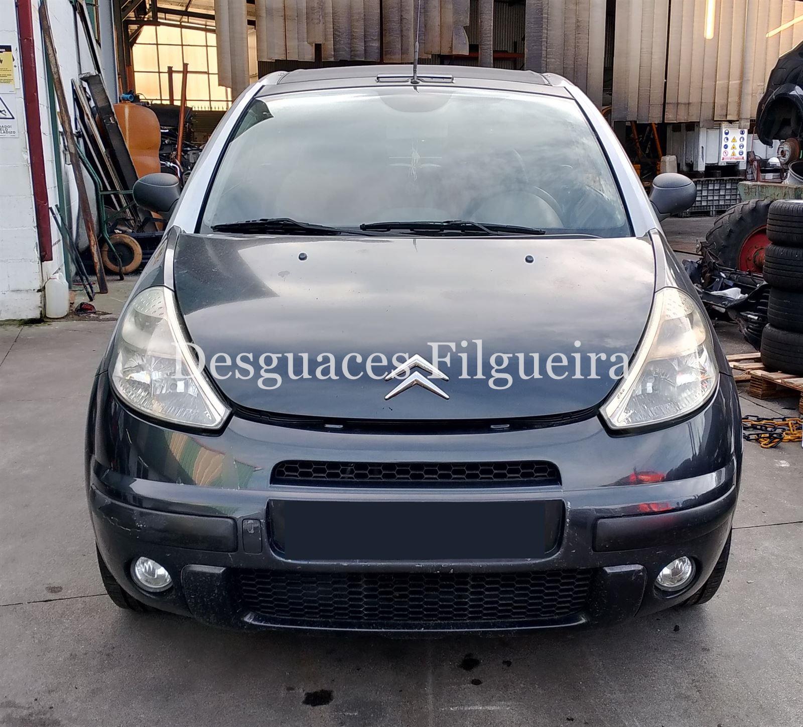 Despiece Citroen C3 PLURIEL 1.4 HDI - Imagen 1