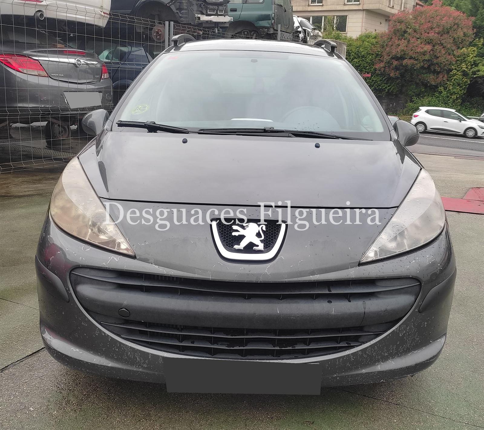 Despiece Peugeot 207 SW 1.6 HDI 9HX - Imagen 1