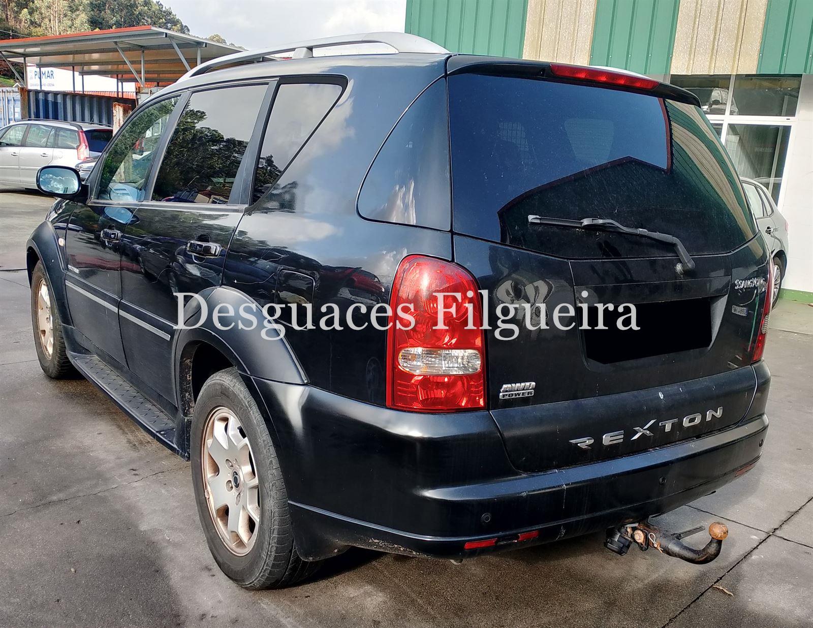 Despiece Ssangyong Rexton 2.7 XDI D27DT - Imagen 6