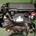 Motor completo Peugeot 206 1.4 HDI 8HZ Bosch - Imagen 1