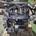 Motor completo Rover 75 2. 0 CDTI 204D2 224664008 - Imagen 2